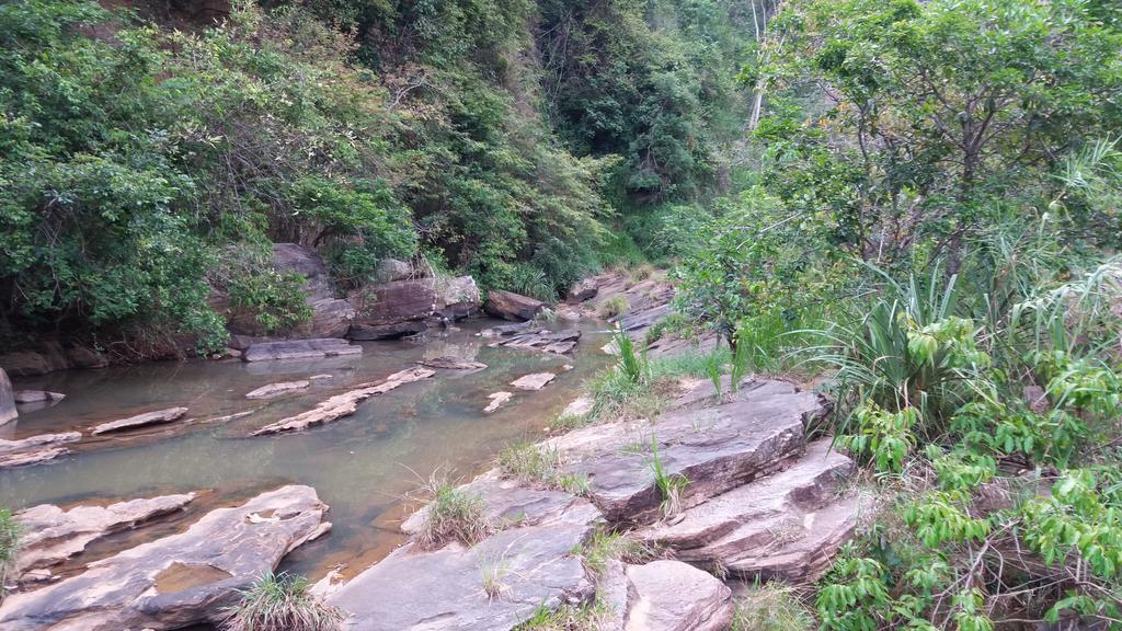 Tea Leaf Retreat Apartment Kandy Bagian luar foto