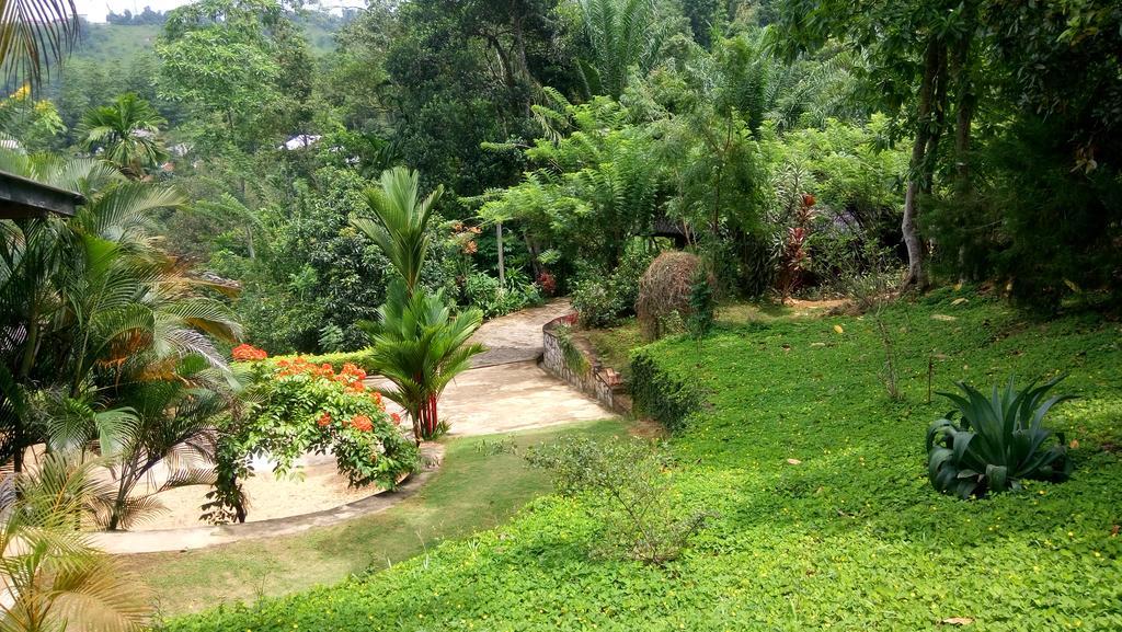 Tea Leaf Retreat Apartment Kandy Bagian luar foto