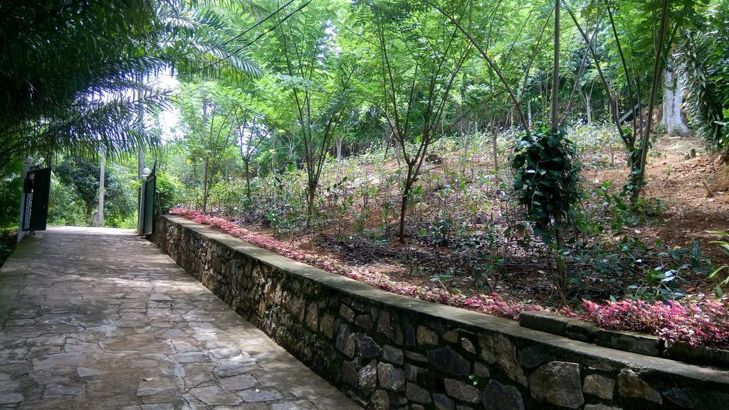 Tea Leaf Retreat Apartment Kandy Bagian luar foto