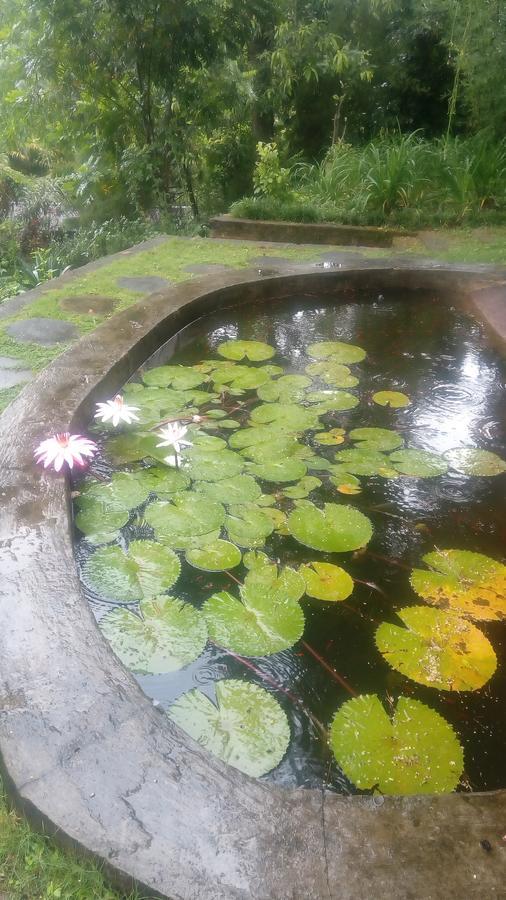 Tea Leaf Retreat Apartment Kandy Bagian luar foto