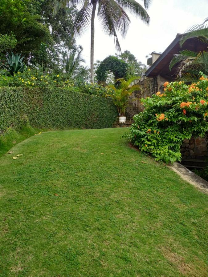 Tea Leaf Retreat Apartment Kandy Bagian luar foto