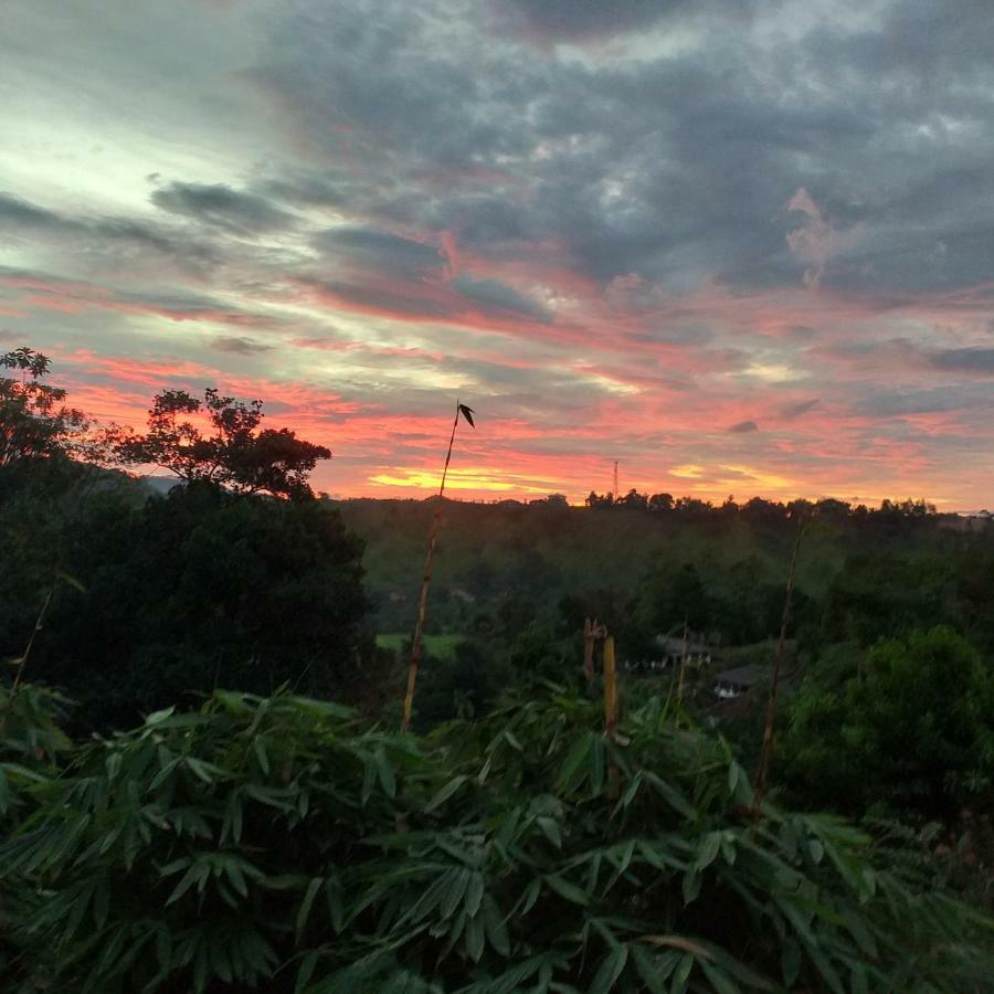 Tea Leaf Retreat Apartment Kandy Bagian luar foto